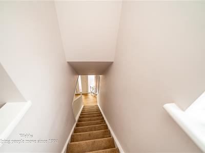 Picture 22